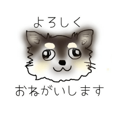 [LINEスタンプ] チワワのあっちゃん2イラスト編