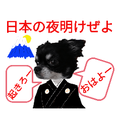 [LINEスタンプ] ぼく、ソラくん 3
