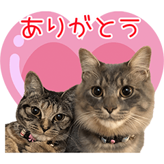 [LINEスタンプ] サスケと小梅♥