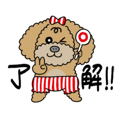 [LINEスタンプ] 3匹のトイプードルのスタンプ