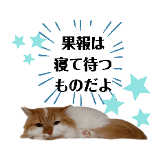 [LINEスタンプ] 福猫＆花猫〜第7弾〜