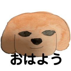 [LINEスタンプ] 犬と共に。