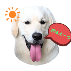 [LINEスタンプ] ルポちゃんの日常