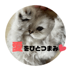 [LINEスタンプ] みにちゃんすたんぷ2