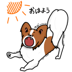 [LINEスタンプ] パピヨン1(ホワイト＆レッド)