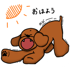 [LINEスタンプ] レッドプードル(薄)1