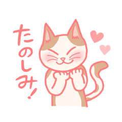 [LINEスタンプ] ねこちゃんミックス☆