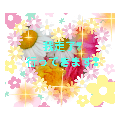 [LINEスタンプ] 花美人16