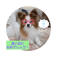 [LINEスタンプ] ぱぴぱぴパピヨン28