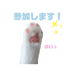 [LINEスタンプ] 『ななこ』5 よく使うあいさつ・返事