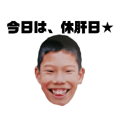 [LINEスタンプ] 二日酔いに効く倉口ネコ