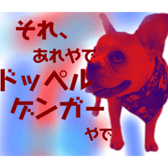 [LINEスタンプ] つむちゃと遊ぼう