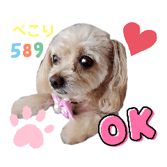 [LINEスタンプ] こはくのこはっとすたんぷ3