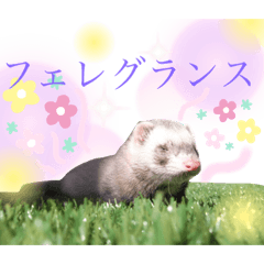 [LINEスタンプ] あろにょろvol.1
