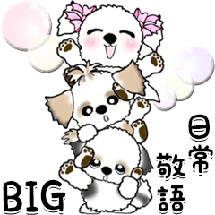 [LINEスタンプ] BIG シーズー犬＆リボン犬【日常敬語】の画像（メイン）