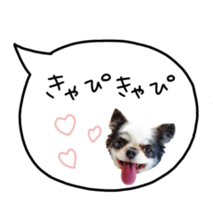 [LINEスタンプ] ココすずの吹き出しスタンプ