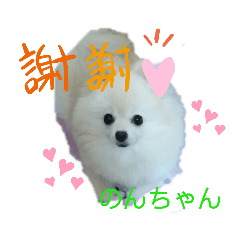 [LINEスタンプ] Igamachi-minagi-c