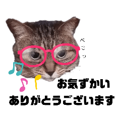 [LINEスタンプ] クリコクリケット