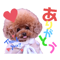 [LINEスタンプ] kumatanスタンプ