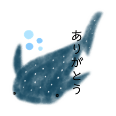 [LINEスタンプ] ジンベエザメさんの暮らし