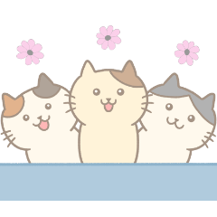 [LINEスタンプ] 猫のみゃーすけ2(毎日使える♪関西弁)