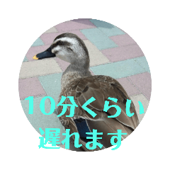 [LINEスタンプ] ちょっと連絡ですNo.2