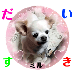 [LINEスタンプ] ☆私のミルちゃん☆