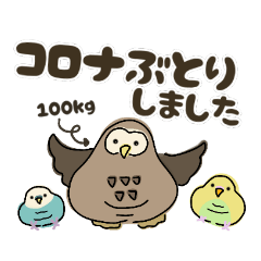 [LINEスタンプ] ふくろうとインコ