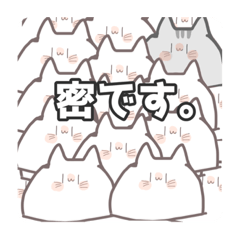 [LINEスタンプ] どあっぷねこちゃん