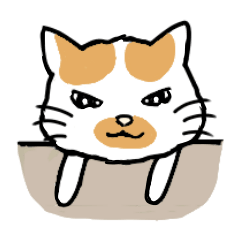 [LINEスタンプ] 86％白いねこ