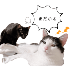 [LINEスタンプ] まるぽっぷ