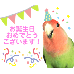 [LINEスタンプ] 敬語で話すコザクラインコ