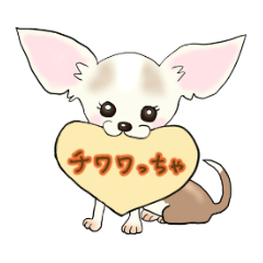 [LINEスタンプ] チワワっちゃ(1)