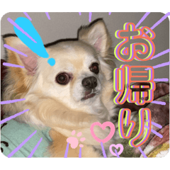 [LINEスタンプ] クラインのお話8