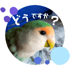 [LINEスタンプ] モミポ日和 2