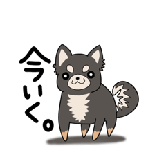 [LINEスタンプ] ポメチーのつきくんがゆく！