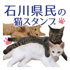 [LINEスタンプ] 石川県民の猫スタンプ