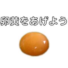 [LINEスタンプ] 卵黄スタンプ