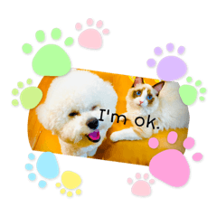 [LINEスタンプ] 私のこどもたちさん