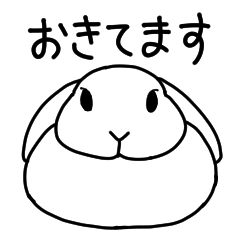 [LINEスタンプ] うさぎの箱座り