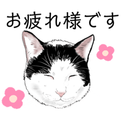 [LINEスタンプ] 保護猫むーたん＆ちよ②