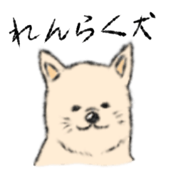 [LINEスタンプ] 柴犬の業務連絡