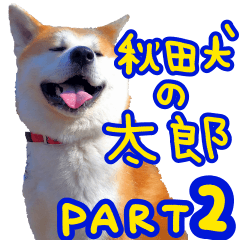 [LINEスタンプ] 秋田犬の太郎2