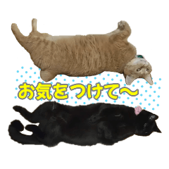 [LINEスタンプ] ももそー日常スタンプ