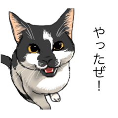 [LINEスタンプ] あまりにもリアルな猫Ver.2