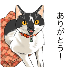 [LINEスタンプ] あまりにもリアルな猫Ver.1＆2