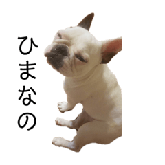 [LINEスタンプ] フレブルおもち2