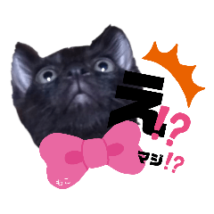 [LINEスタンプ] オセロ族