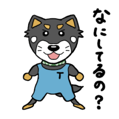 [LINEスタンプ] 黒柴の太陽くん