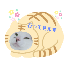 [LINEスタンプ] アイドルゴマ
